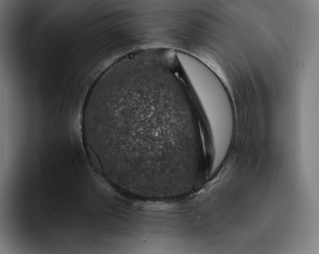 X0000093170389200710101216