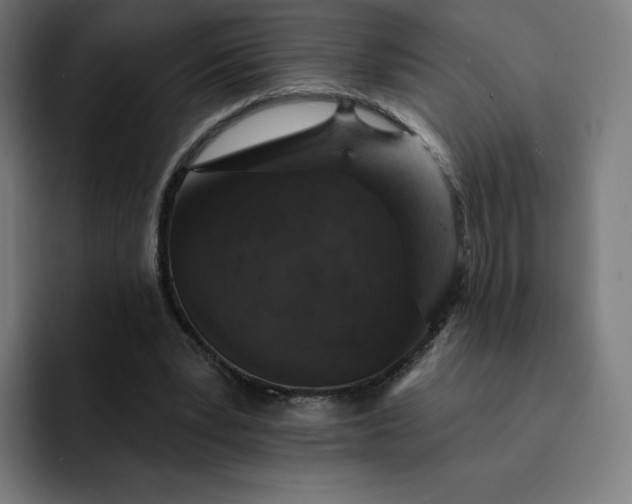 X0000093170391200710101216