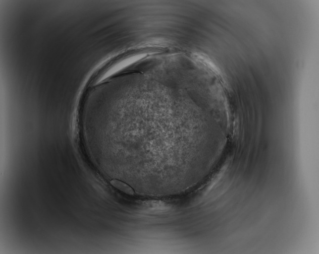 X0000093170392200710101216