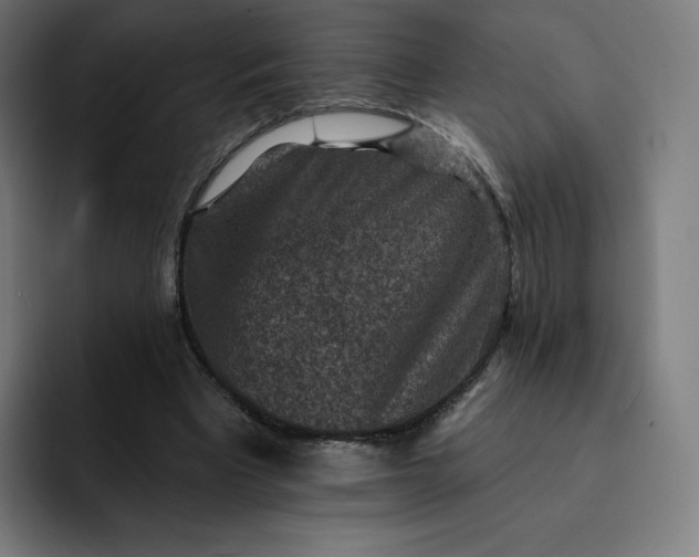 X0000093170393200710101216
