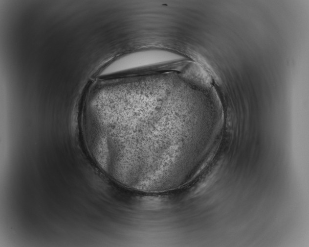 X0000093170394200710101216
