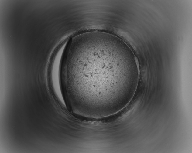 X0000093170395200710101216