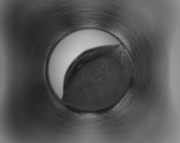 X0000093170397200710101216