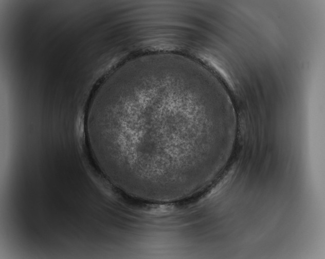 X0000093170398200710101216
