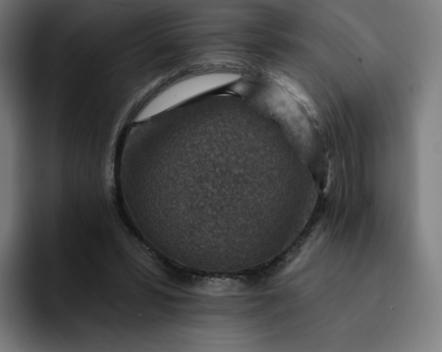 X0000093170399200710101216