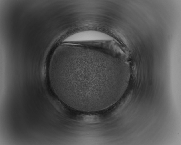 X0000093170400200710101216