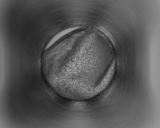 X0000093170401200710101216