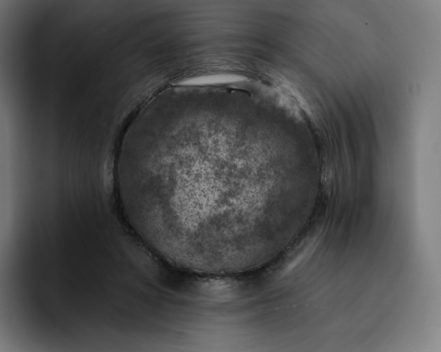 X0000093170402200710101216