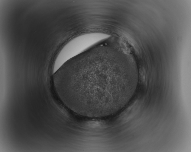 X0000093170404200710101216