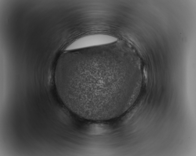 X0000093170408200710101216