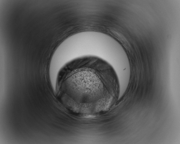X0000093170409200710101216