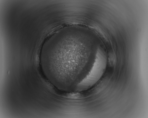 X0000093170410200710101216