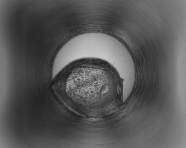 X0000093170411200710101216