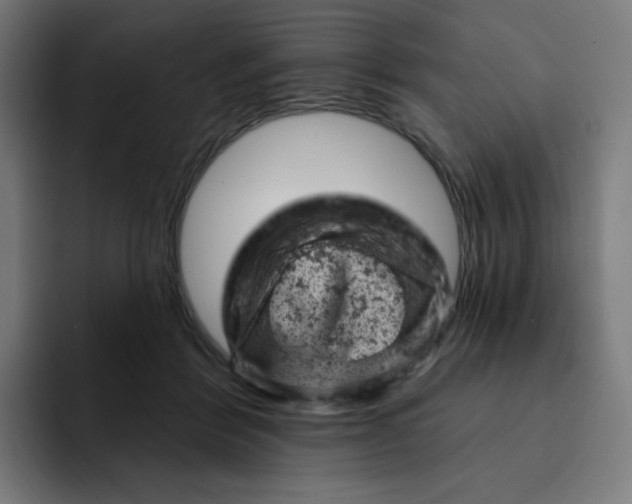 X0000093170412200710101216