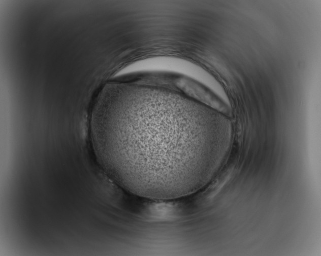 X0000093170413200710101216