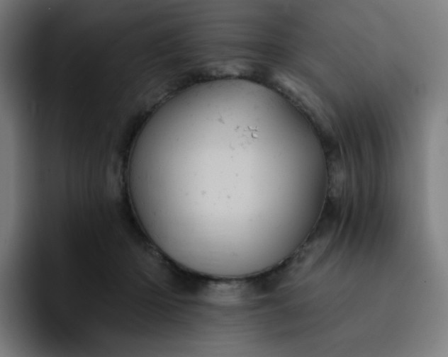 X0000093170414200710101216