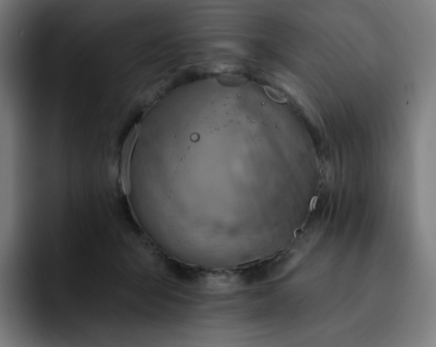 X0000093170415200710101216