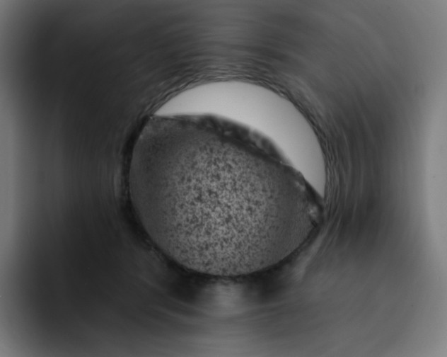 X0000093170416200710101216