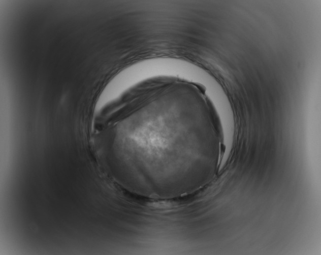 X0000093170417200710101216