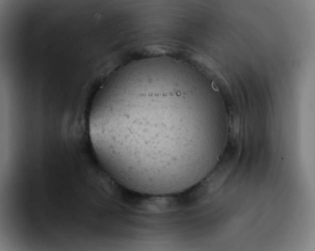 X0000093170418200710101216
