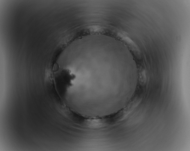 X0000093170419200710101216