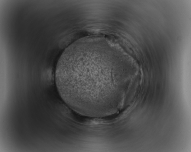X0000093170420200710101216
