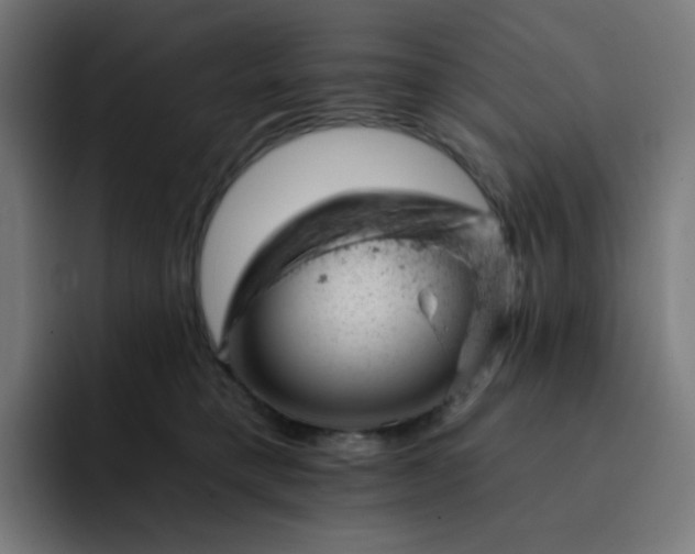 X0000093170421200710101216
