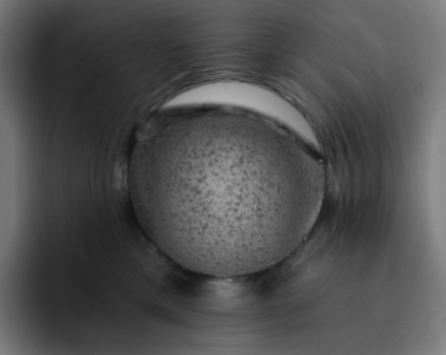 X0000093170425200710101216