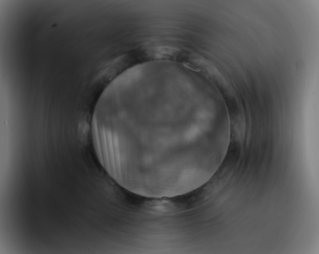 X0000093170427200710101216