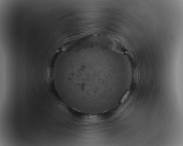 X0000093170428200710101216