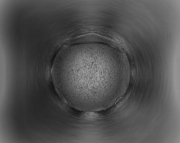X0000093170429200710101216