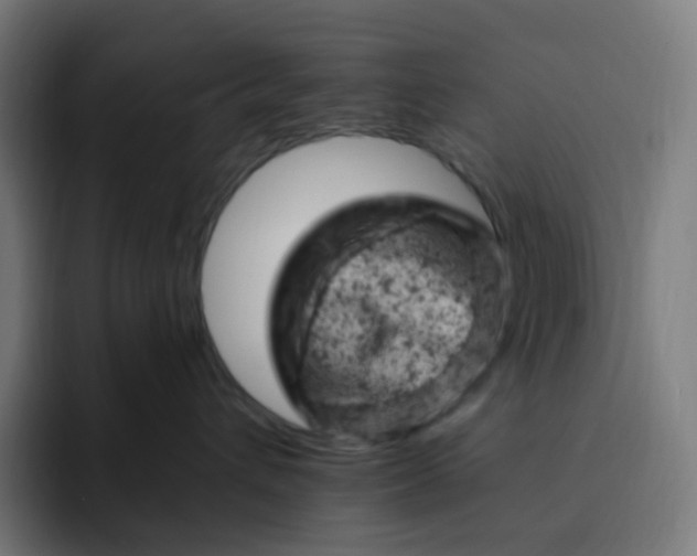 X0000093170432200710101216