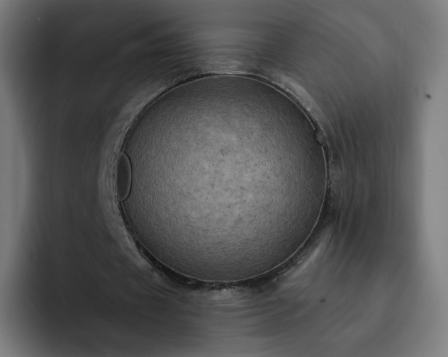 X0000093170433200710101215