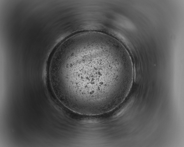 X0000093170435200710101215