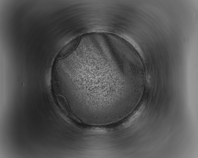 X0000093170437200710101215
