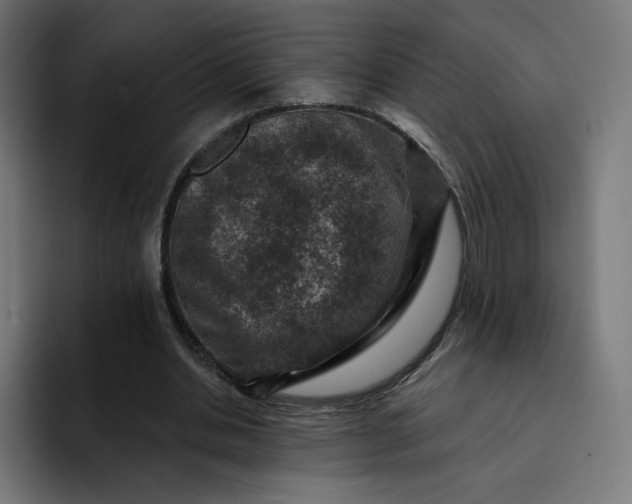 X0000093170438200710101215