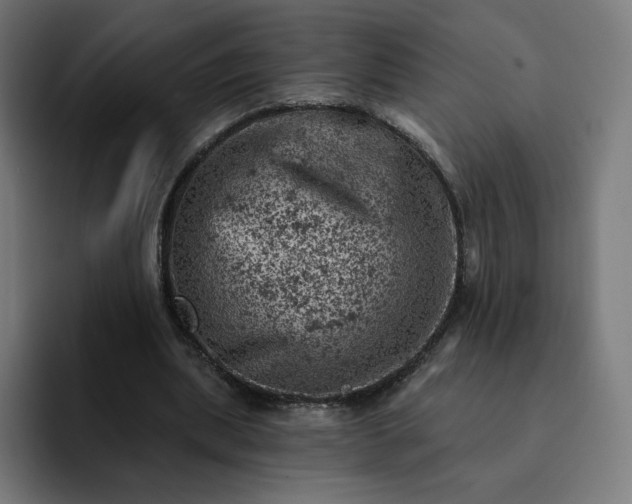 X0000093170439200710101215