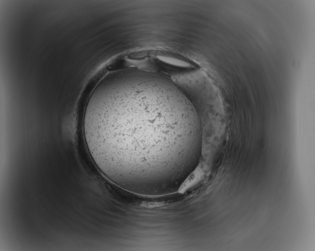 X0000093170440200710101215
