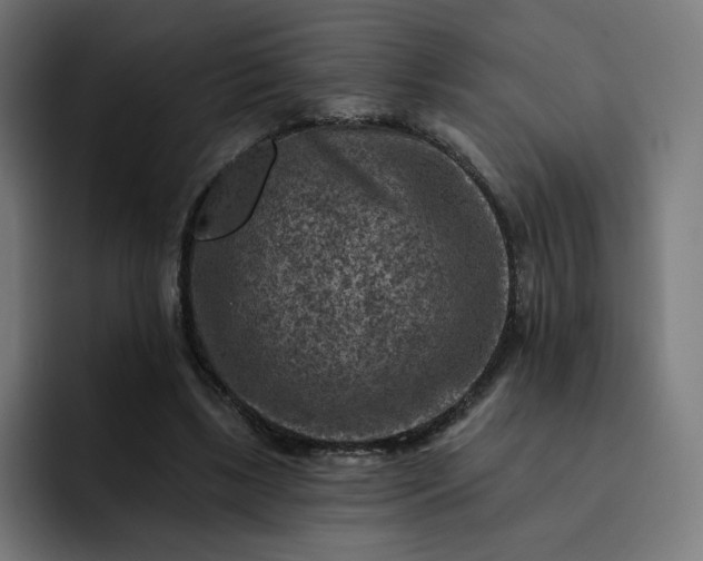 X0000093170443200710101215