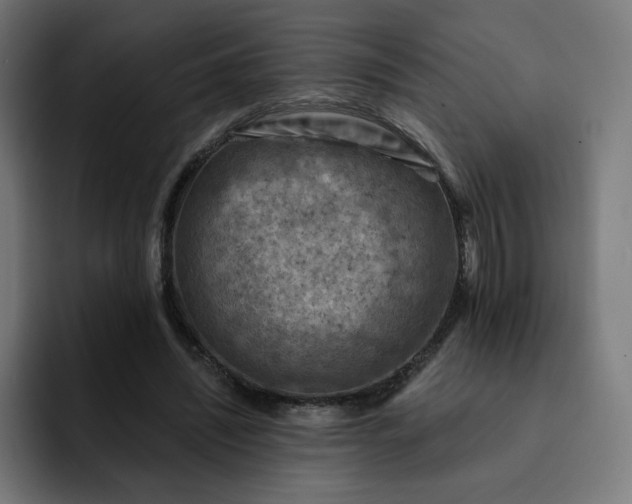 X0000093170444200710101215