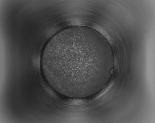 X0000093170445200710101215