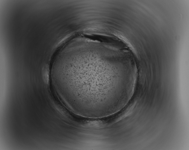 X0000093170446200710101215