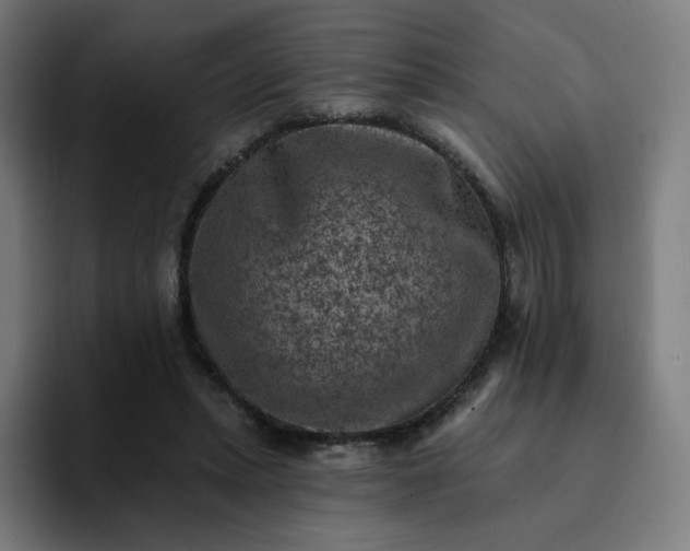 X0000093170447200710101215