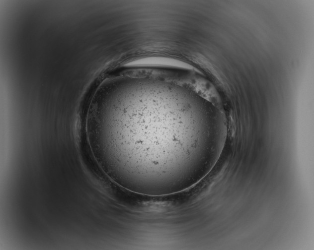 X0000093170448200710101215