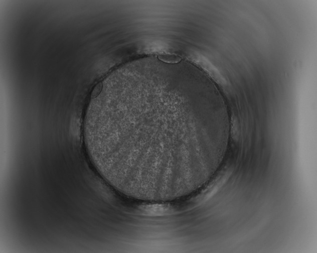X0000093170449200710101215