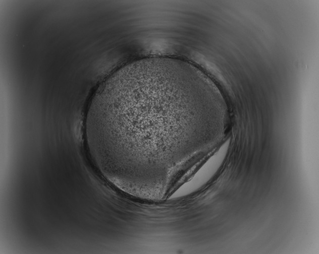 X0000093170450200710101215