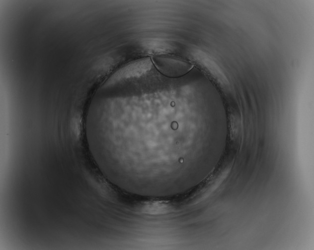 X0000093170451200710101215