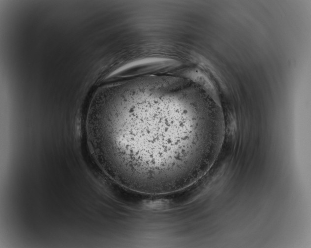 X0000093170452200710101215