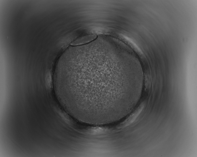 X0000093170453200710101215