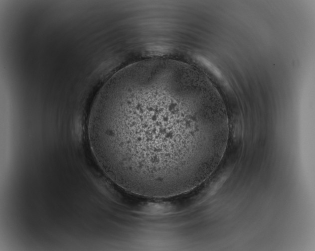 X0000093170455200710101215